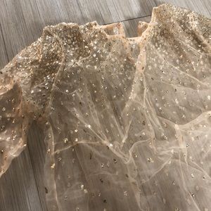 Lirika Matoshi Nude Sheer Blouse with Gold Sequin Embellishment